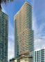Cove Miami